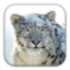 Apple Mac OS X Snow Leopard